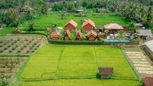 Alam Kawi Ubud Resort & Spa