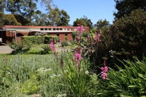 obrázek - Bridgecroft House - Spacious & serene family home