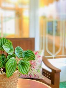 Woodhill Villa Kota Bunga by Citrus House