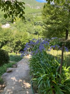 Maisons de vacances Maison avec jardin et vue - Le Pont du Loup 06 : photos des chambres