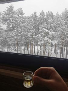 Tara Bozic Apartmani