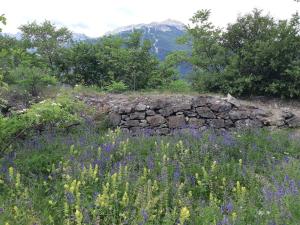Appartements A Deux Pas ... : photos des chambres