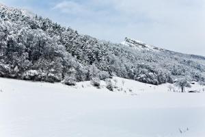 Appartement montagne