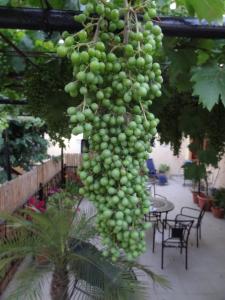 House Klimataria Kamilari