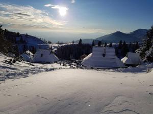 Chalet Resa - Velika planina