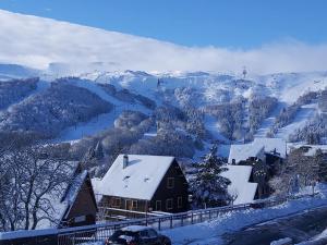 Authentique chalet vue sur le lac et les pistes