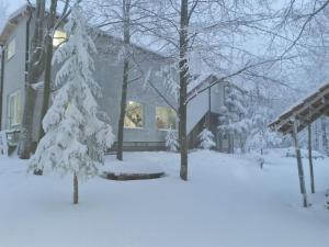 Apartmani SP Jovanovic