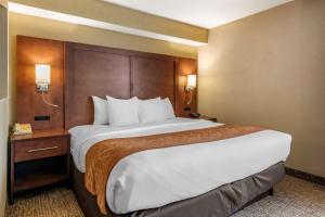 Deluxe King Suite - Non-Smoking room in Comfort Suites Baymeadows Near Butler Blvd