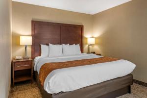 Corner King Suite - Non-Smoking room in Comfort Suites Baymeadows Near Butler Blvd