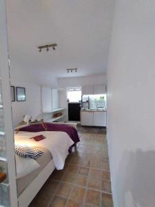 Estudio Suites Cantera Auditorio