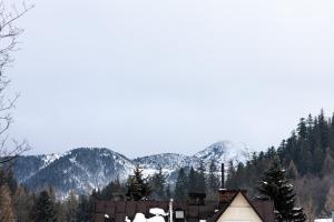 Domek Bachledówka Zakopane