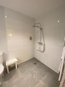Hotels Hotel Relais du Loir : photos des chambres