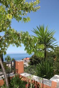 Apartment in Podgora with sea view, terrace, air conditioning, WiFi 849-1