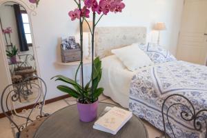 B&B / Chambres d'hotes Une Maison a Saint-Paul de Vence : photos des chambres