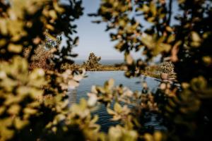 Eco-lodge Villa Epicurea