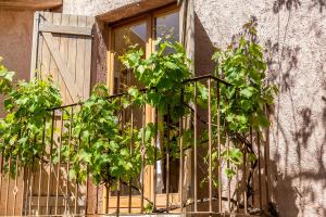 Villas Residence Les Toits de Santa Giulia : photos des chambres