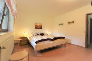 Meeresgruss Seeschwalbe