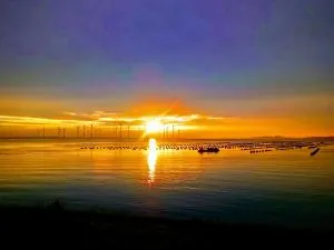 De Tureluur Bruinisse - 布勒伊尼瑟