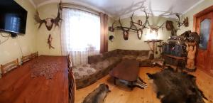 Затишок в Карпатах