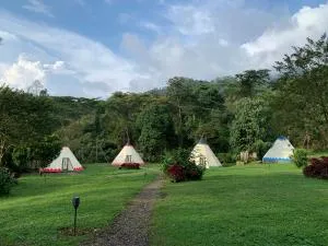 Bosque de Aventura & Glamping Refugio del Bosque - La Gran Via
