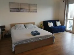 Ravissant studio proche de la Loire - 博让西