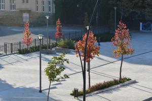 Elan Luxury Apartments & Rooms