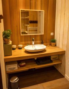 Villas EVASION BASSIN La Villa Albatros : photos des chambres