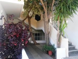 Skala Apartments Chania Greece