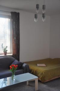 Apartament przy Parku Czartoryskich