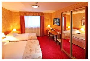 Twin Room room in Hotel Janusz