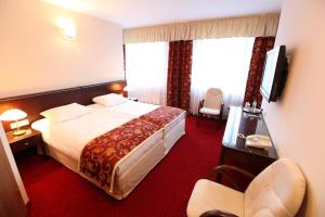 Deluxe Double Room room in Hotel Janusz