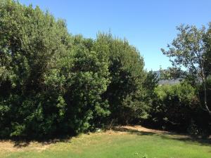 Agriturismo Il Paradiso img69