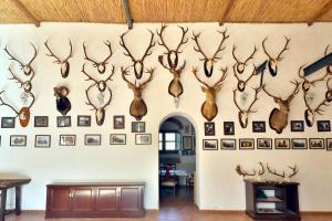 Casa Rural COMPLETA Finca Los Conventos en Adamuz; Córdoba