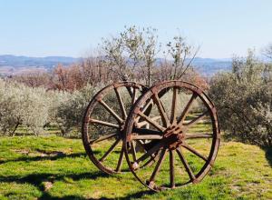 Maisons d'hotes Terre Luberon : photos des chambres