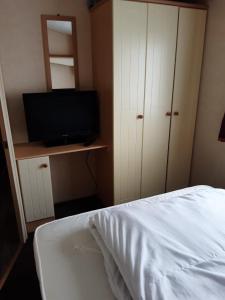 Golden palm 8 berth chapel saint leanords, ingoldmells, skegness caravan