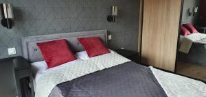 Karpatia Apartament Karbonado