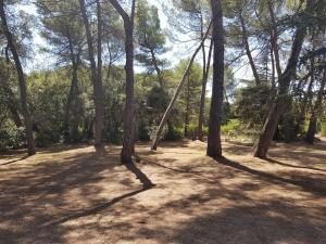 Maisons de vacances Maisonnette dans le Luberon - Bois Romay : photos des chambres