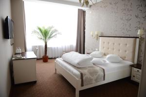 Standard Double Room room in Hotel Europa