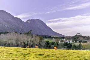 Hemel 'N Aarde Stud - 4hvězdičkové hotely ve městě Hermanus