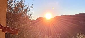 Chambres d'hôtes des Oliviers