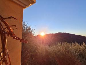 Chambres dhôtes des Oliviers