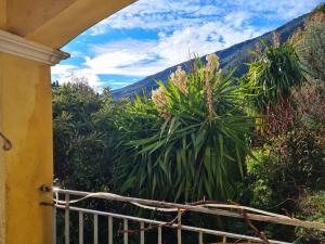 Chambres dhôtes des Oliviers