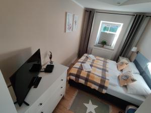 Apartament Lea w Kudowie Zdrój