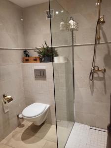 Apartamenty Niedźwiadek