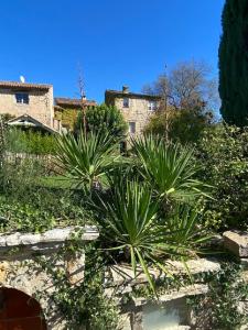 Appart'hotels Domaine Le Petit Hameau : photos des chambres