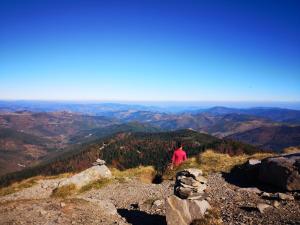 Chalets Bel'Horizon : photos des chambres