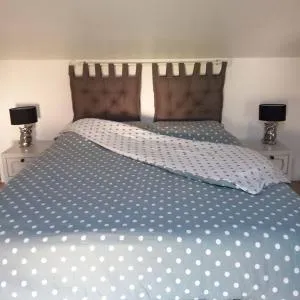 Le Nichoir Lac du Der - Outines