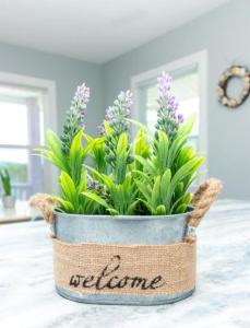 Wave Haven - Ocean View