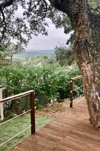 Appartements Holiday Home near St Tropez, Port Grimaud & Gassin : photos des chambres