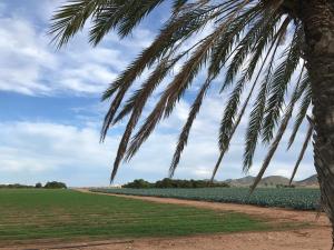 Casa Encanto - Ribera Beach in Mar de Cristal